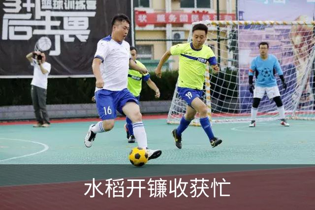 水稻开镰收获忙